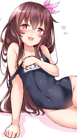 安装步骤示意图